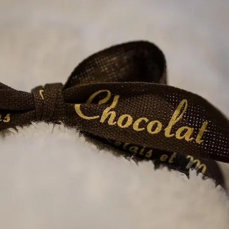 Chocolat Relais Et Maisons - Le Mairie Apartmán